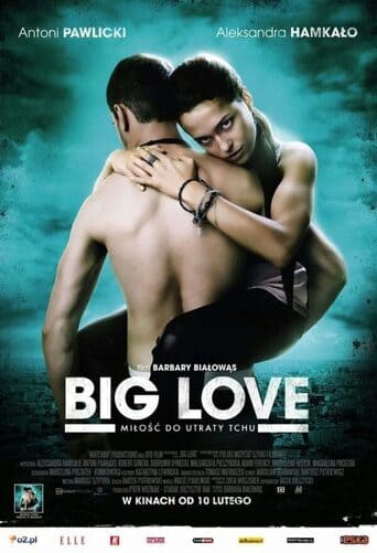 Big Love - assistir Big Love Dublado e Legendado Online grátis